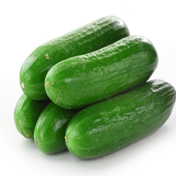 Buy Cucumber, UAE - Per Kg Online @ AED5 from Bayzon