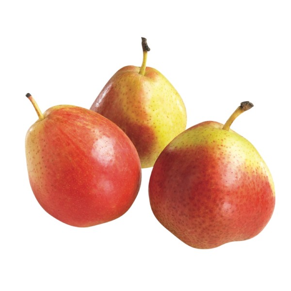 Buy Forelle Pears South Africa Per Kg Online Aed55 From Bayzon 